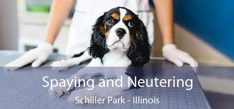 Spaying and Neutering Schiller Park - Illinois