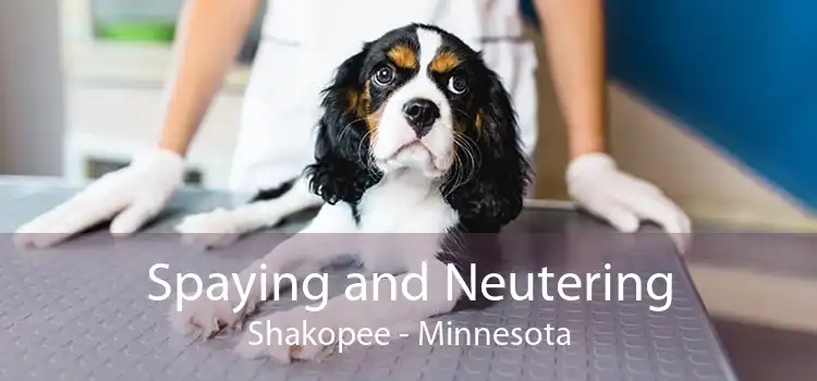 Spaying and Neutering Shakopee - Minnesota