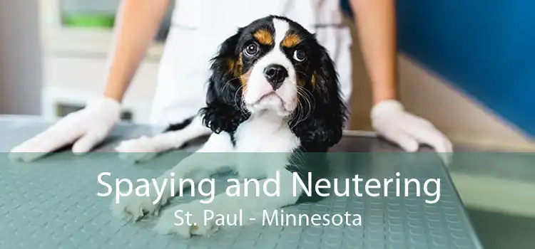 Spaying and Neutering St. Paul - Minnesota