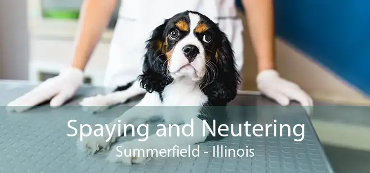 Spaying and Neutering Summerfield - Illinois