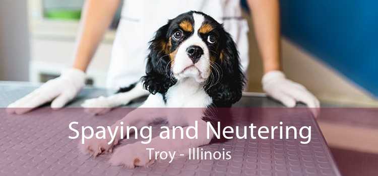 Spaying and Neutering Troy - Illinois