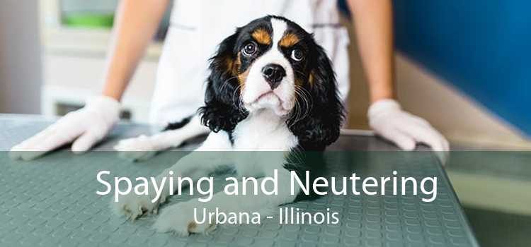 Spaying and Neutering Urbana - Illinois