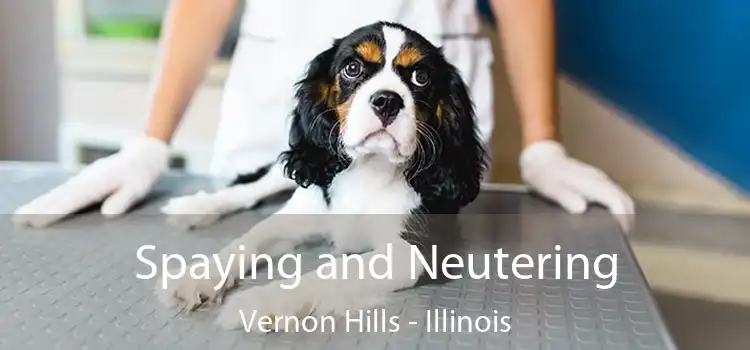 Spaying and Neutering Vernon Hills - Illinois