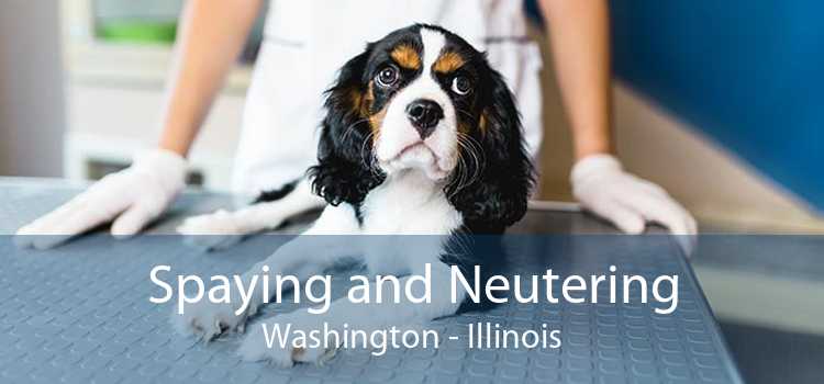 Spaying and Neutering Washington - Illinois