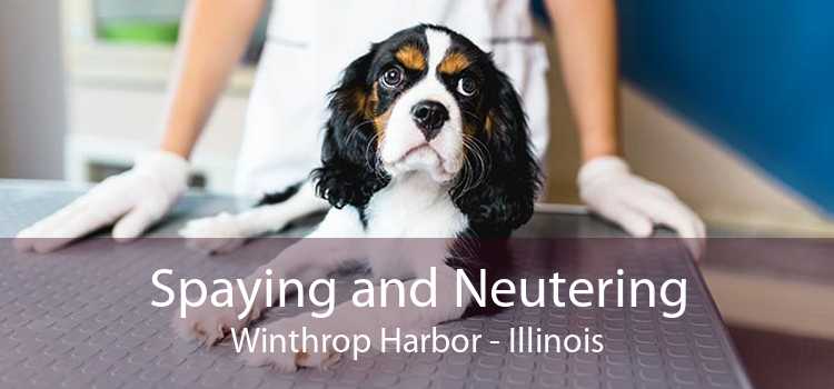 Spaying and Neutering Winthrop Harbor - Illinois