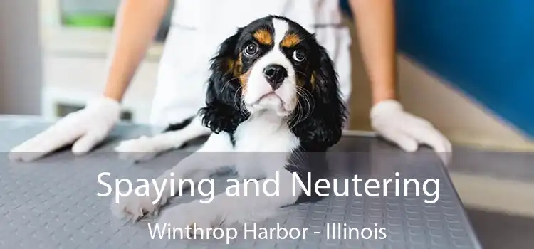 Spaying and Neutering Winthrop Harbor - Illinois