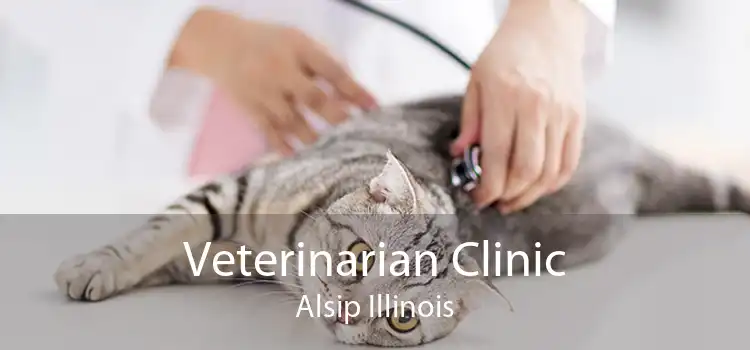 Veterinarian Clinic Alsip Illinois