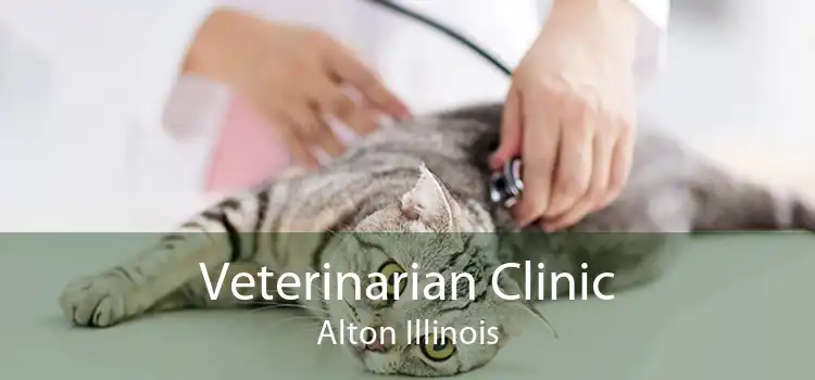 Veterinarian Clinic Alton Illinois