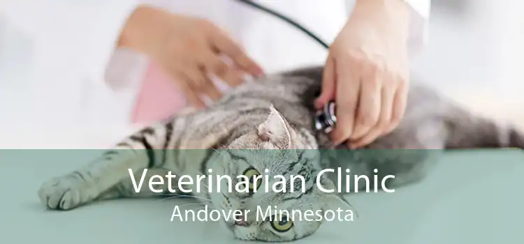 Veterinarian Clinic Andover Minnesota