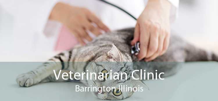Veterinarian Clinic Barrington Illinois