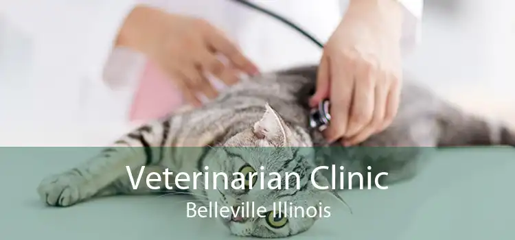 Veterinarian Clinic Belleville Illinois