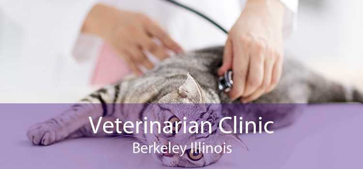 Veterinarian Clinic Berkeley Illinois