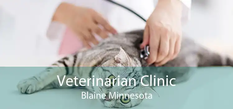 Veterinarian Clinic Blaine Minnesota