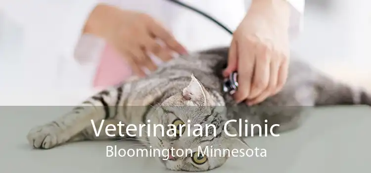 Veterinarian Clinic Bloomington Minnesota