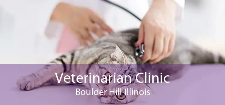 Veterinarian Clinic Boulder Hill Illinois
