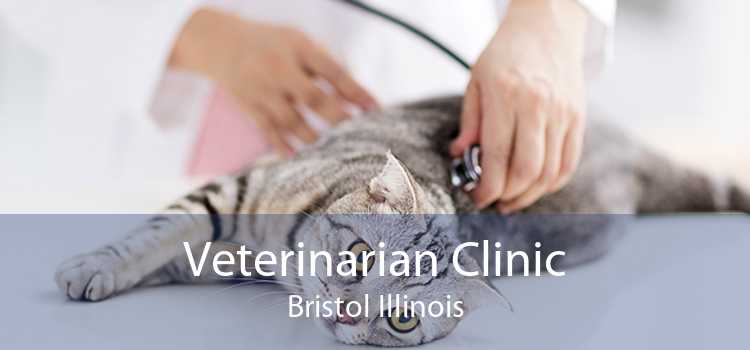 Veterinarian Clinic Bristol Illinois