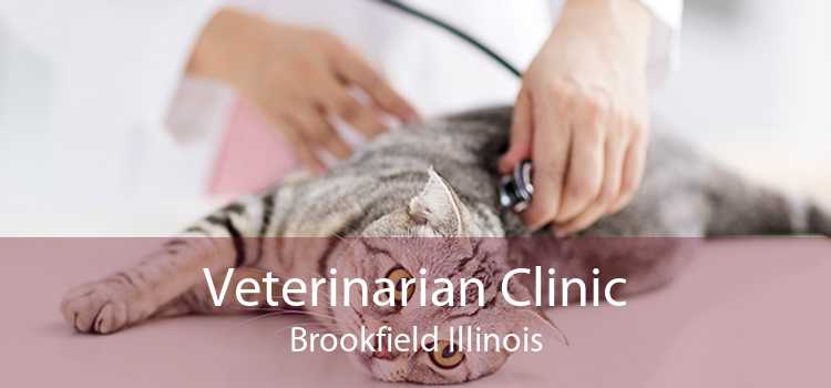 Veterinarian Clinic Brookfield Illinois