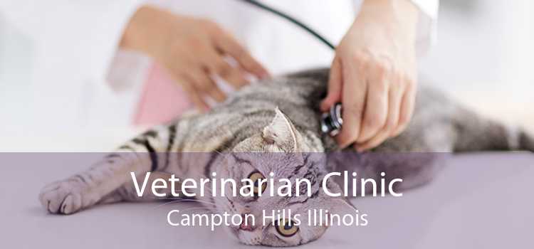 Veterinarian Clinic Campton Hills Illinois