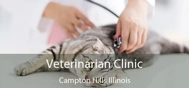 Veterinarian Clinic Campton Hills Illinois