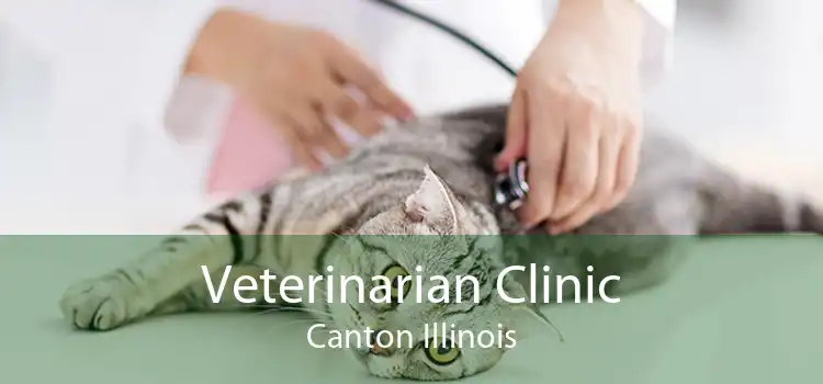 Veterinarian Clinic Canton Illinois