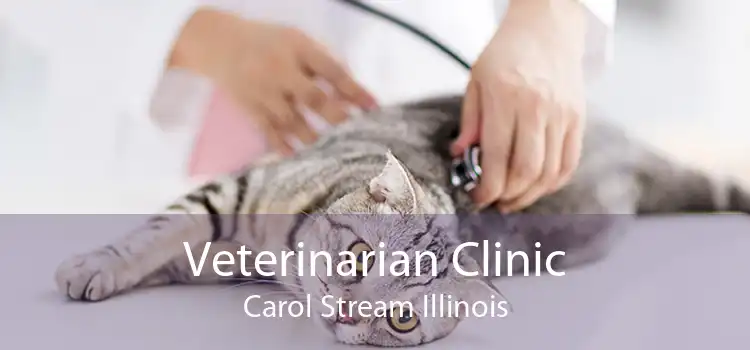 Veterinarian Clinic Carol Stream Illinois