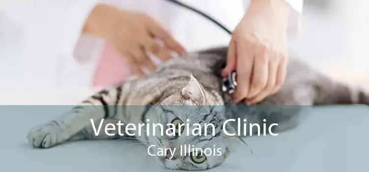 Veterinarian Clinic Cary Illinois