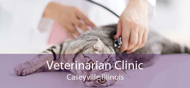 Veterinarian Clinic Caseyville Illinois