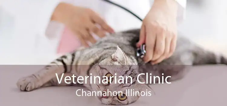 Veterinarian Clinic Channahon Illinois