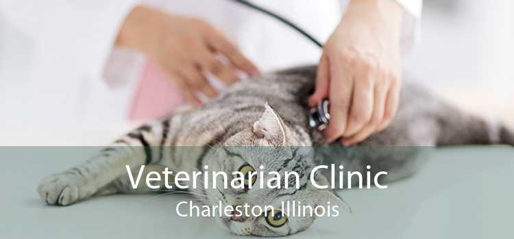 Veterinarian Clinic Charleston Illinois