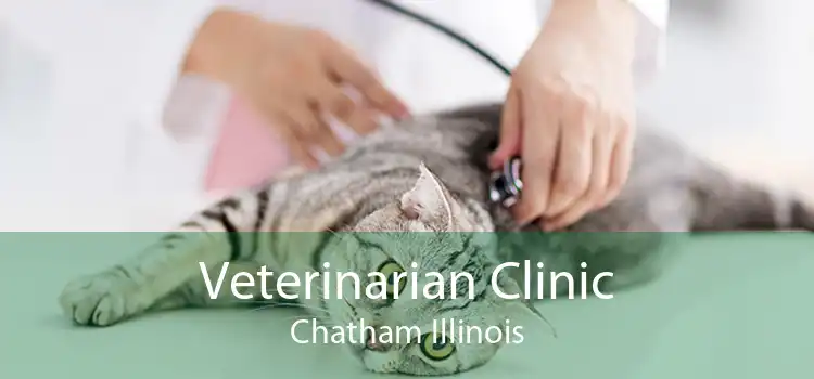 Veterinarian Clinic Chatham Illinois
