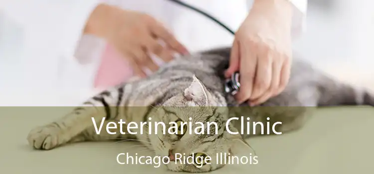 Veterinarian Clinic Chicago Ridge Illinois
