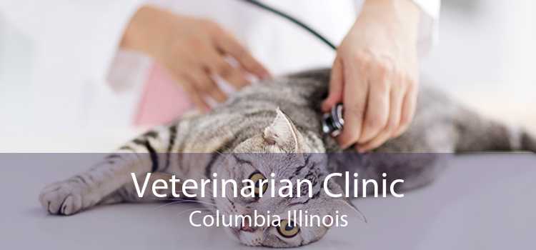 Veterinarian Clinic Columbia Illinois