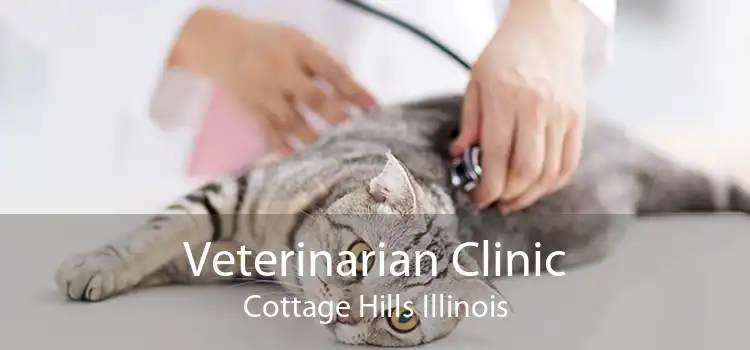 Veterinarian Clinic Cottage Hills Illinois