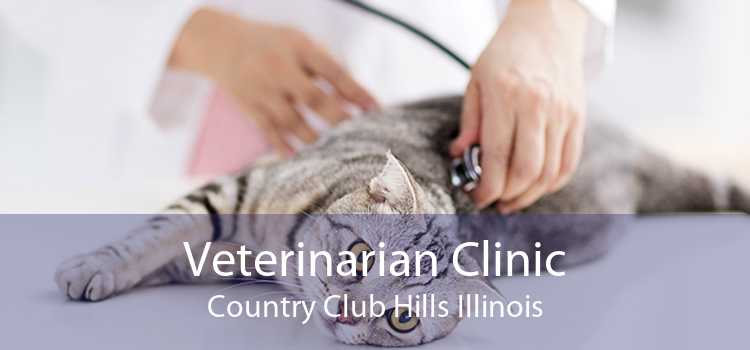 Veterinarian Clinic Country Club Hills Illinois