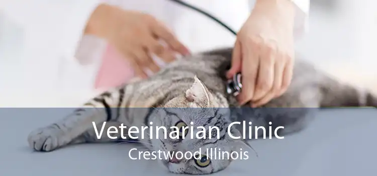 Veterinarian Clinic Crestwood Illinois