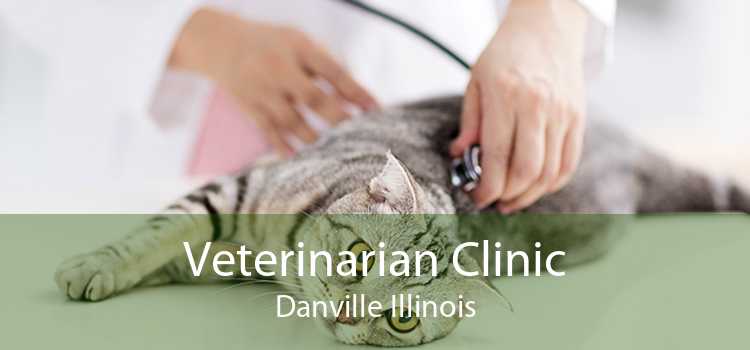 Veterinarian Clinic Danville Illinois