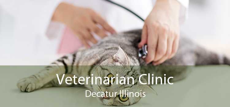 Veterinarian Clinic Decatur Illinois