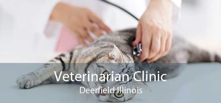 Veterinarian Clinic Deerfield Illinois