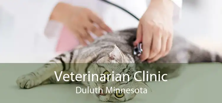 Veterinarian Clinic Duluth Minnesota