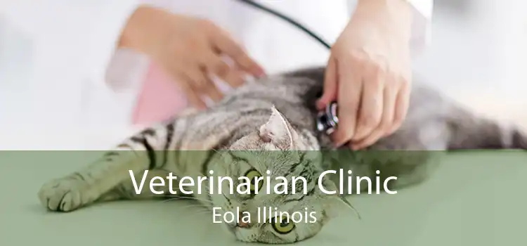 Veterinarian Clinic Eola Illinois