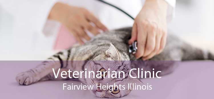 Veterinarian Clinic Fairview Heights Illinois