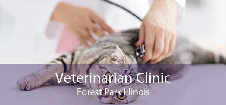 Veterinarian Clinic Forest Park Illinois