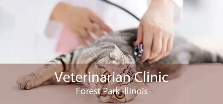 Veterinarian Clinic Forest Park Illinois
