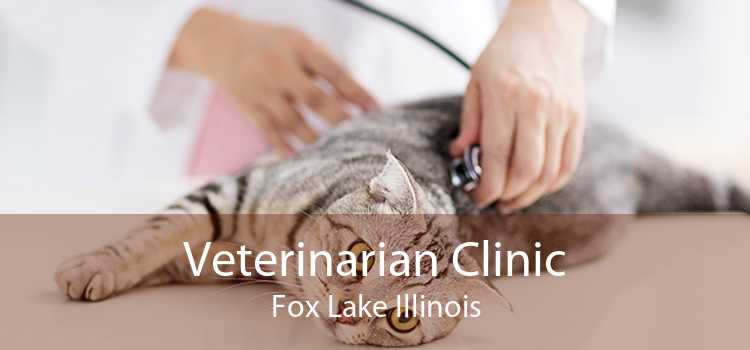 Veterinarian Clinic Fox Lake Illinois