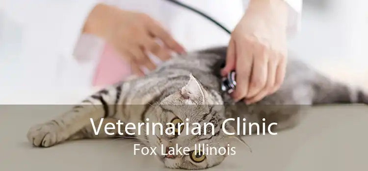 Veterinarian Clinic Fox Lake Illinois