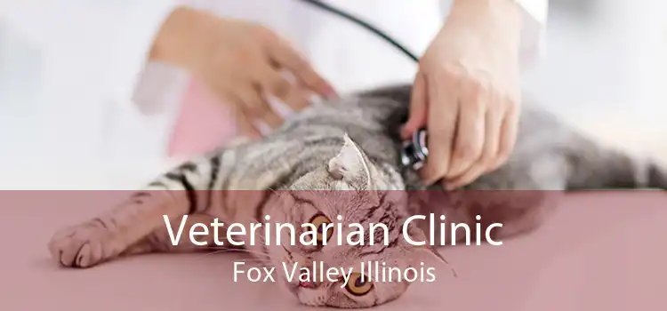 Veterinarian Clinic Fox Valley Illinois