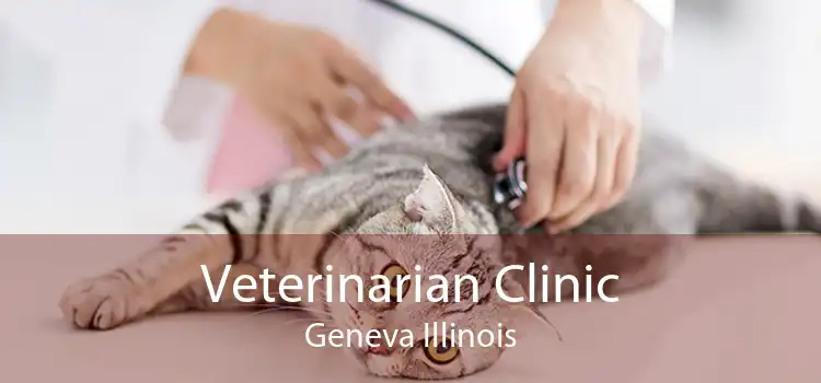 Veterinarian Clinic Geneva Illinois