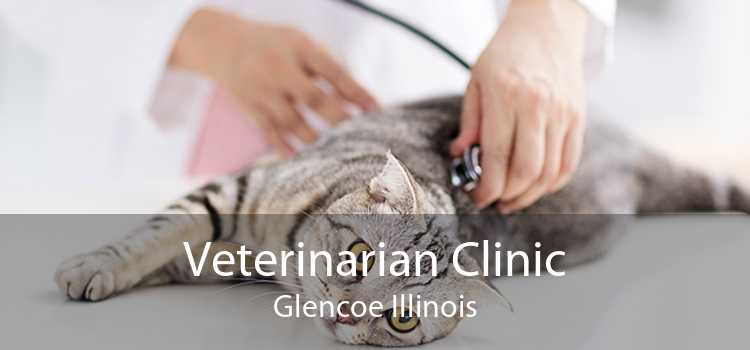 Veterinarian Clinic Glencoe Illinois