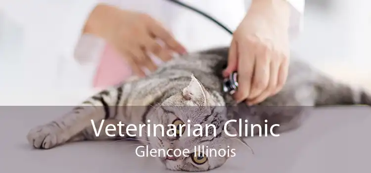 Veterinarian Clinic Glencoe Illinois