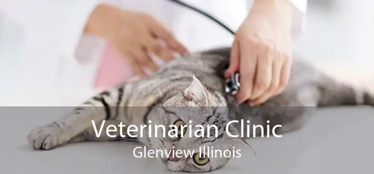 Veterinarian Clinic Glenview Illinois